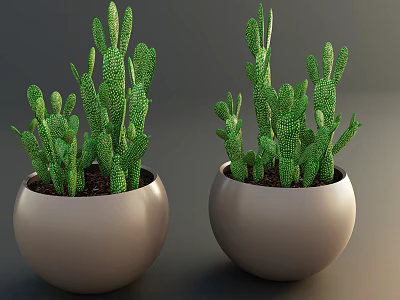 Potted Cactus Plants with Green White Spots in Light Gray Spherical Pots for Indoor Decor 3d model