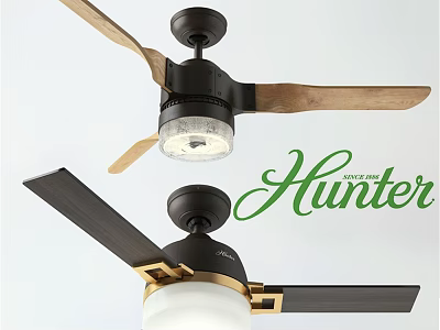 Hunter Ceiling Fans With Wooden Blades Metal Accents And Lights For Home Use 3d model