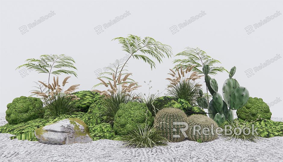 Modern Plants Bryophytes Garden Plants Scrub Ferns Kidney Fern Cactus model