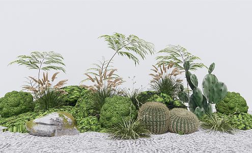 Modern Plants Bryophytes Garden Plants Scrub Ferns Kidney Fern Cactus 3d model