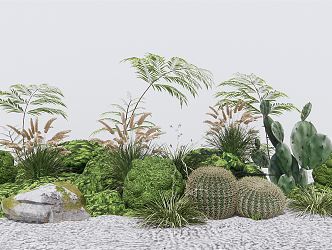 Modern Plants Bryophytes Garden Plants Scrub Ferns Kidney Fern Cactus 3d model