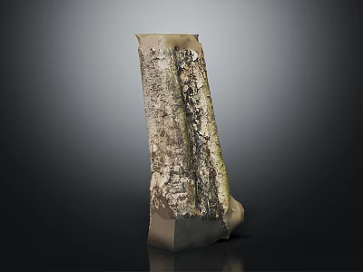 Artistic Wood Bark Texture Decorative Piece With Polished Stone Base Design 3d model