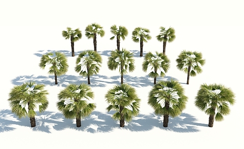 Modern Palm Tree 3d model