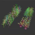 Various Types of Green and Purple Crop Seedlings Neatly Arranged on Black Background