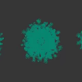 Three Tall Snow Covered Evergreen Coniferous Trees Standing On Gray Background