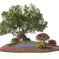 Roadside Green Facilities With Large Tree Colorful Flowers And Lush Grass Area