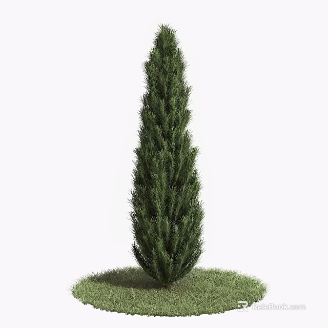 Tall Green Tree with Lush Foliage Standing on Fresh Green Grass 3d model 