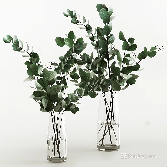 Transparent Glass Vases With Lush Green Eucalyptus Leaves On White Background 3d model 