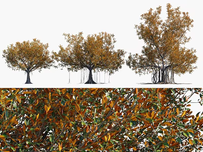 Arbor Trees with Orange Yellow Leaves in Various Growth Forms and Detailed Foliage 3d model