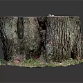 Wooden Stone Tree Stumps with Rustic Bark Texture Natural Cross Sections and Grass Base