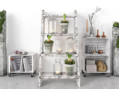 Rustic Indoor Decor With Vintage White Ladder Shelf Green Plants And Candles 3d model