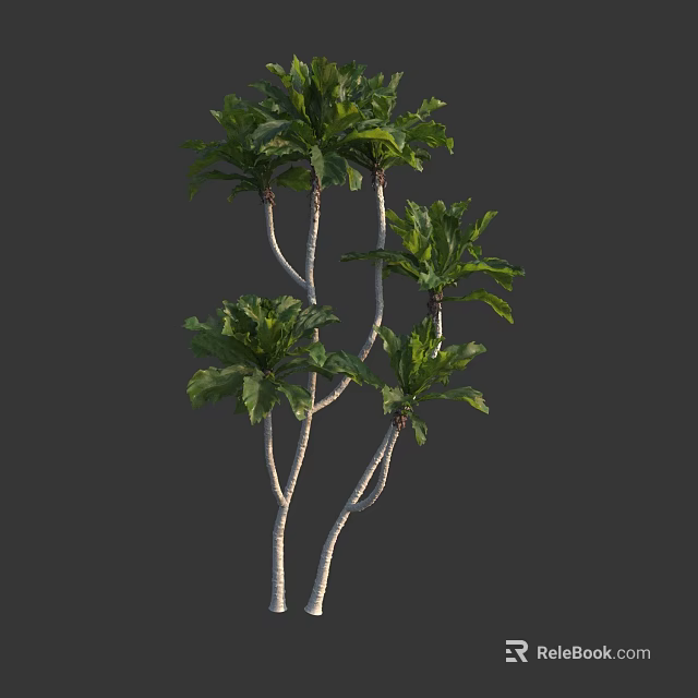 Lush Green Tree With Multiple Trunks And Dense Vibrant Foliage 3d model