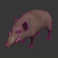 Realistic 3D Model of Light Brown Wild Boar With Tusks on Dark Background