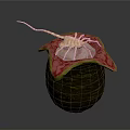 Green Textured Body With Red Edged Pink Organ And Yellow Hair Like Structure