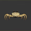 Golden Crab with Red Eyes and Detailed Claws on Dark Reflective Surface