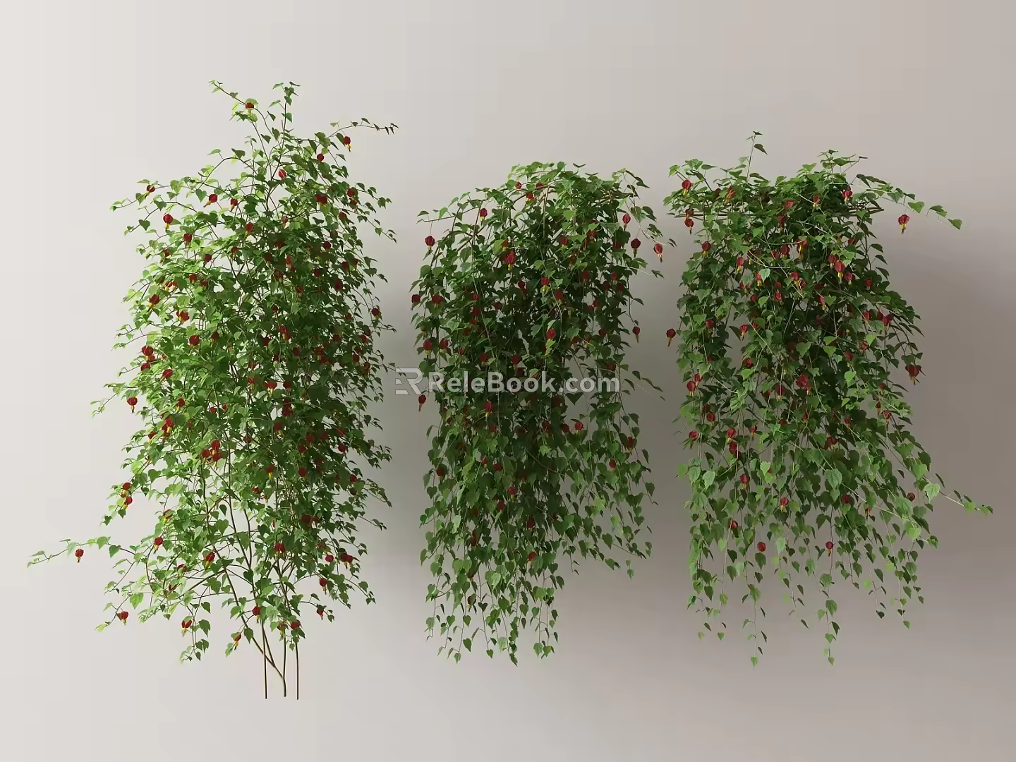 Modern Vine 3d model