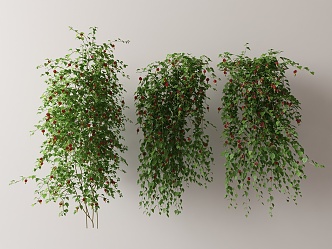 Modern Vine 3d model