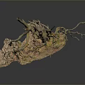 Tree Root System With Exposed Wooden Roots And Natural Rock Base 3d model