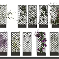 Vine Covered Trellis Designs With Colorful Climbing Plants For Garden Decoration