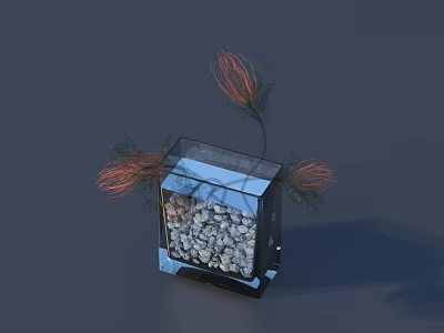 Decorative Ornament Set with Transparent Cube Container Pebbles and Red Green Plant Decorations 3d model