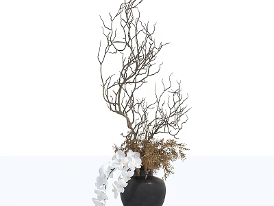 Elegant Bonsai Plant with Dried Branches White Flowers and Dried Grass in Black Pot 3d model