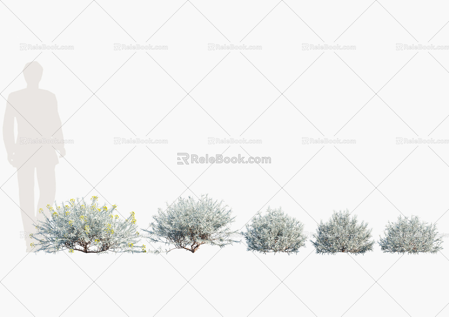 Modern shrubs 3d model