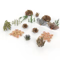 Various Types of Dried Plants with Leaves Branches and Natural Forms