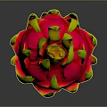 Fresh Red Dragon Fruit With Yellow Spikes On Black Background Surface