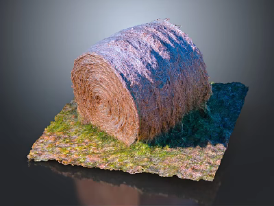 Round Hay Bale Resting on Green Grass in Outdoor Rural Setting 3d model