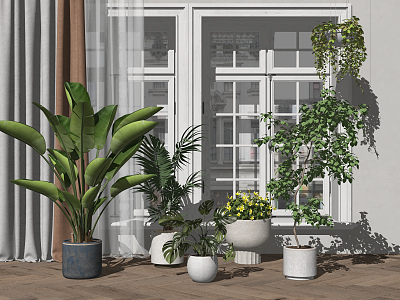 Modern potted plant potted combination 3d model