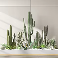Modern Minimalist Cactus Succulent Bonsai Planter with White Rectangular Container and Vertical Striped Wall 3d model