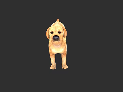 Small Cute Yellow Puppy Standing Against Black Background With Curious Look 3d model