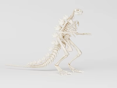 Dinosaur Skeleton Museum 3d model