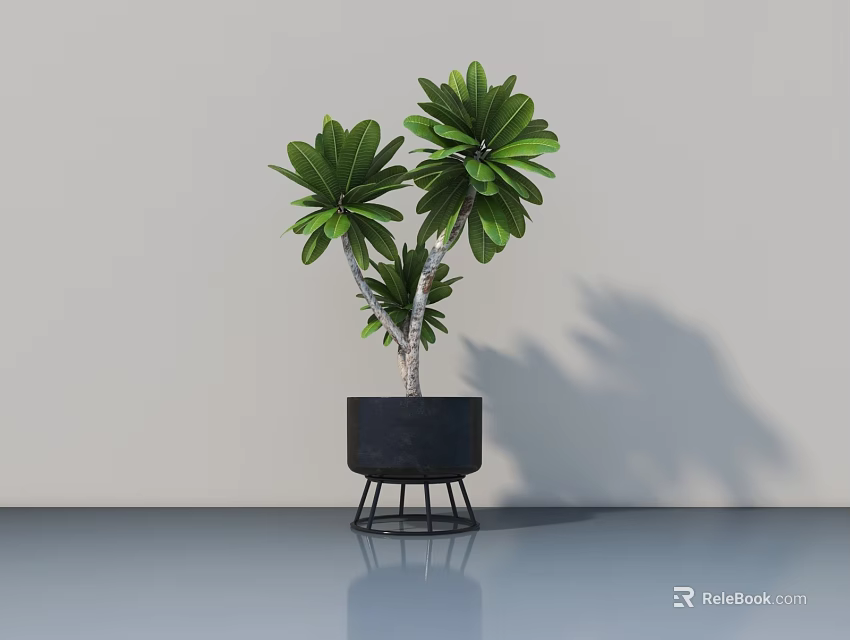 Bonsai Potted Plant With Green Leaves In Black Metal Stand Pot For Modern Interior 3d model 