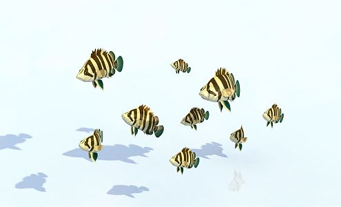 Modern Fish 3d model