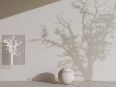 Arbor Shadow Projected On White Wall With White Ball On Tabletop In Minimalist Interior 3d model