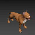 Brown Dog With White Chest Standing Alertly On Dark Background