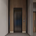 Modern Elevator Hallway Interior With Wooden Wall Gray Wall Panel Wall Light And Green Plant