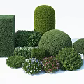 Trimmed Bushes In Various Geometric Shapes With Small Colorful Flowers For Garden Landscaping