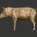 Professional Golden Pig Anatomical Model For Veterinary Medical Instrument Training