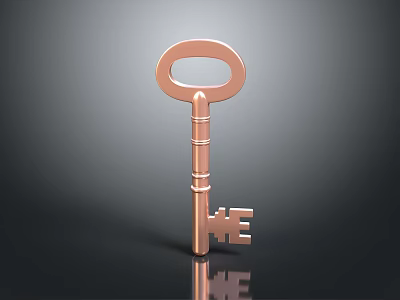 Copper Colored Hardware Key With Metallic Loop Handle And Classic Tooth Design 3d model