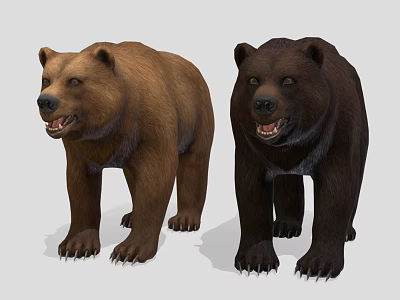 Two Brown and Black Bears Standing with Open Mouths on Gray Background 3d model