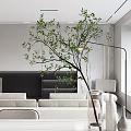 Modern Living Dining Room Interior With Open Concept Sofa Dining Table And Marble Wall