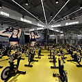 Spacious Yoga Studio With Blue Hammocks Yoga Mats And Colorful Exercise Balls On Wooden Floors