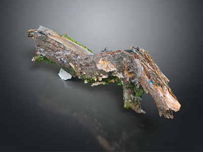 Natural Wood Stone Decorative Piece With Organic Shape Moss And Rustic Texture 3d model