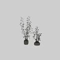 Decorative Vase With Green Leafy Plants And Tall Branches For Home Interior