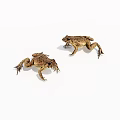Two Realistic Brown Toads in Natural Posture on White Background