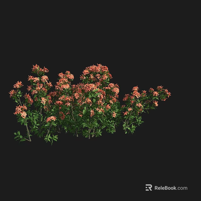 Vibrant Pink And Orange Flower Blossoms With Lush Green Leaves In Natural Garden Setting 3d model 