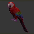 Vibrant Red Parrot with Colorful Green Blue Wings White Beak Long Tail Against Dark Background