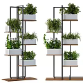 Bonsai Potted Plants On Multi Tiered Metal Frame Wooden Shelves With Various Greenery